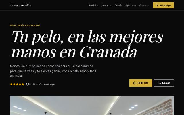 Diseño Noir